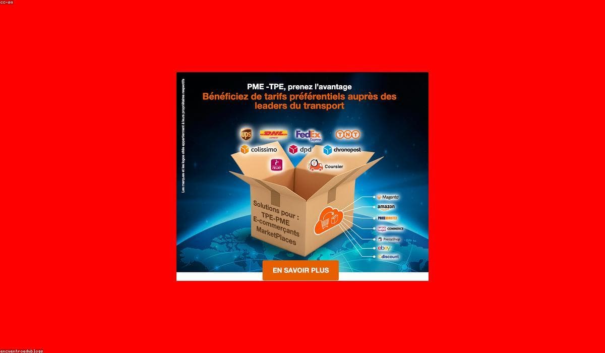 How a Regional Brand Unified B2B and B2C Operations and Cut Order Handling Time by 2.1x execution snapshot